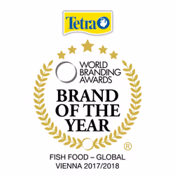 Tetra Fish Food Micro Granules, Complete Fish Food For Small Tropical Fish, 100 ml