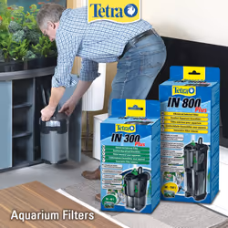 Tetra IN800 Plus Powerful Internal Filter for Physical, Biological and Chemical Aquarium Water Filtration