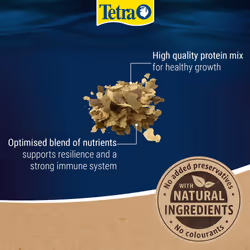 TetraFin Goldfish Flakes 200g