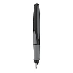 Schneider Schreibgeräte Ray calligraphy pen Black 1 pc(s)