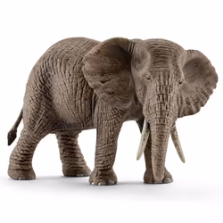 schleich WILD LIFE African elephant, female, 3 yr(s), Multicolour, Plastic, 1 pc(s)