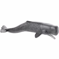 schleich WILD LIFE Sperm whale, 3 yr(s), Multicolour, Plastic, 1 pc(s)