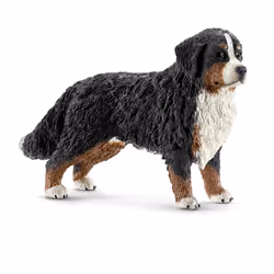 schleich FARM WORLD Bernese Mountain Dog, female, 3 yr(s), Multicolour, Plastic, 1 pc(s)