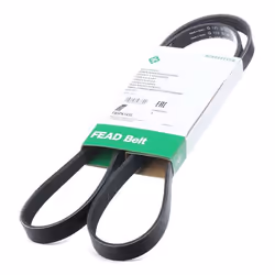 V-ribbed belt; INA; 1435 5; for VOLKSWAGEN, AUDI, SKODA, FIAT, ALFA ROMEO; 038903137H, 038903137T, 038903197H, 7789700, 5PK14 ...