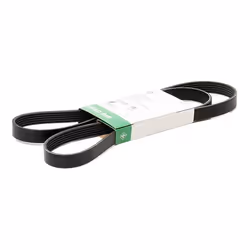 V-ribbed belt; INA; 1613 6; for AUDI, VOLKSWAGEN, VAUXHALL, VOLVO, SKODA; 022145933AG, 022145933AP, 03G903137E, 03G903137F, 0 ...