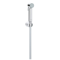GROHE Tempesta-F Trigger Spray 30 shower system Chrome