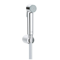 GROHE Tempesta-F Trigger Spray 30 shower system Chrome
