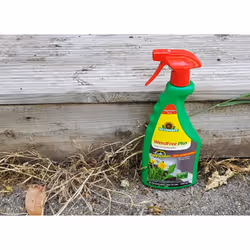 Biodegradable Weedkiller RTU