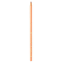 Faber-Castell Polychromos Artists' Single Pencil - Colour 189 Cinnamon