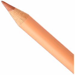 Faber-Castell Polychromos Artists' Single Pencil - Colour 189 Cinnamon
