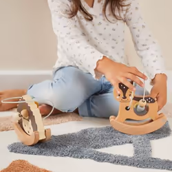 Bieco 24330022 motor skills toy