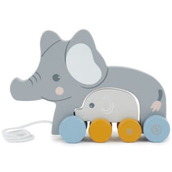 Bieco 24330031 push & pull toy
