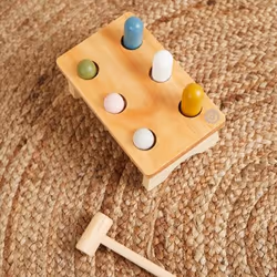 Bieco 24330034 motor skills toy