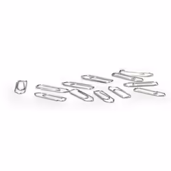 Durable 120625 paper clip 100 pc(s)