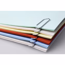 Durable 120625 paper clip 100 pc(s)