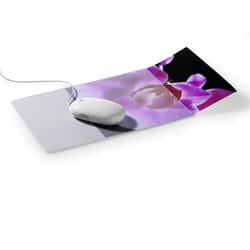 Durable 5747-19 Transparent