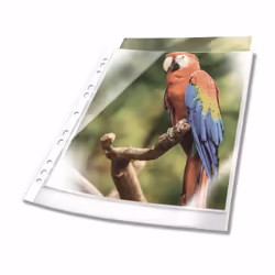 Durable 265402, A4, Transparent, White, Polypropylene (PP), 0.08 mm, 230 mm, 305 mm