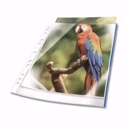 Durable 265506, A4, Blue, Transparent, Polypropylene (PP), 0.08 mm, 230 mm, 305 mm