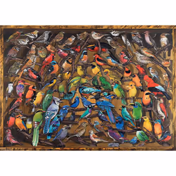 Ravensburger Rainbow Birds Jigsaw Puzzle (1000 Pieces)