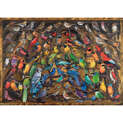 Ravensburger Rainbow Birds Jigsaw Puzzle (1000 Pieces)
