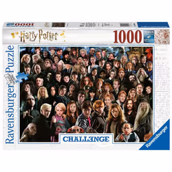 Ravensburger 12000457, 1000 pc(s), Television/films, 14 yr(s)