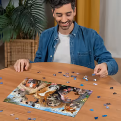 Selfies Horsing Around - Animal Jigsaw Puzzle for Adults and Kids Age 10 Years Up - 500 Pieces - Horse Toys