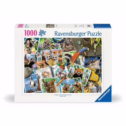 Ravensburger 12000607, 1000 pc(s), Animals, 14 yr(s)