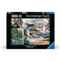 Ravensburger 12000631 puzzle Jigsaw puzzle 1000 pc(s) Landscape