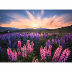 Ravensburger 12000688 Jigsaw puzzle 500 pc(s) Other - Additional view 2