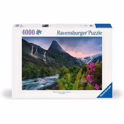 Ravensburger 12000811, 4000 pc(s), Other, 14 yr(s)
