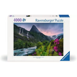 Ravensburger 12000811 Jigsaw puzzle 4000 pc(s) Other
