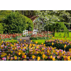Ravensburger 12000851 Jigsaw puzzle 1000 pc(s) Landscape