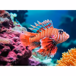 Ravensburger 12.001.334 puzzle Jigsaw puzzle 500 pc(s) Underwater