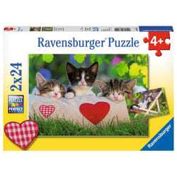 Ravensburger 07801 puzzle Jigsaw puzzle 24 pc(s)