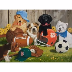 Ravensburger Let's Play Ball!
