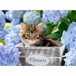 Ravensburger 00.012.894 300 pc(s) Animals