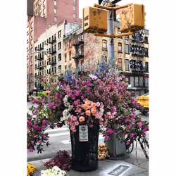Ravensburger Flowers in New York Jigsaw puzzle 300 pc(s) Landscape