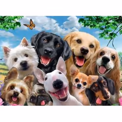 Ravensburger Delighted Dogs XXL Contour puzzle 300 pc(s) Art