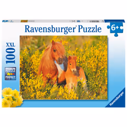 Ravensburger 13283, 100 pc(s), 6 yr(s)
