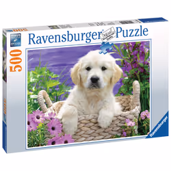 Ravensburger 4005556148295 500 pc(s)