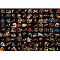 Ravensburger 15983 puzzle Jigsaw puzzle 1000 pc(s) Animals