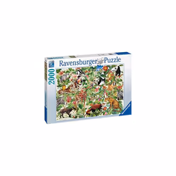 Ravensburger Selva Jigsaw puzzle 2000 pc(s) Animals