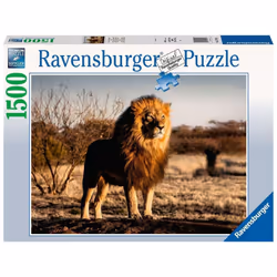 Ravensburger 17107, 1500 pc(s), 14 yr(s)