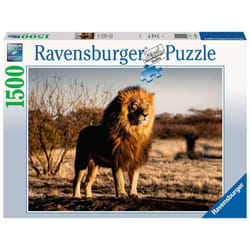 Ravensburger 17107 puzzle Jigsaw puzzle 1500 pc(s)