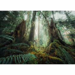Ravensburger 17494 puzzle Jigsaw puzzle 1000 pc(s)