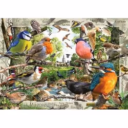 Ravensburger Our Feathered Friends Jigsaw puzzle 1000 pc(s) Animals