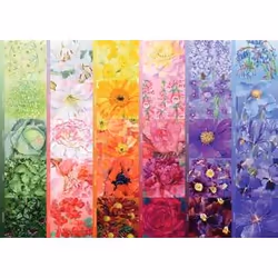 Ravensburger The Gardener's Palette