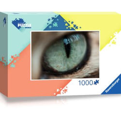 Ravensburger 20609 Contour puzzle 1000 pc(s) Art