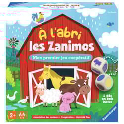 Ravensburger 22339 board/card game
