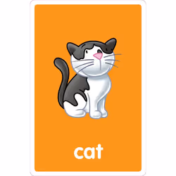 Ravensburger My First Flash Card Learn New Words Dictionary Game
